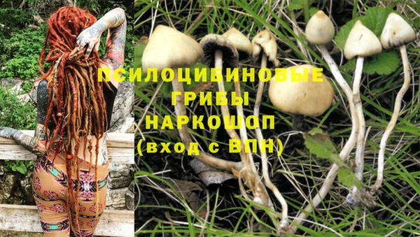 мдпв Абинск