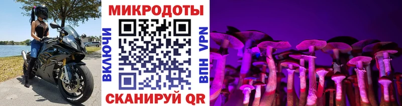 Галлюциногенные грибы MAGIC MUSHROOMS  сколько стоит  Лесозаводск 